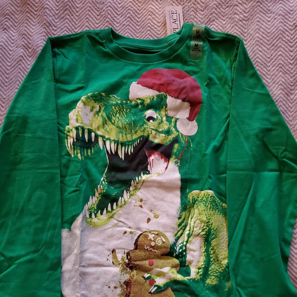 Boy's t-rex christmas long sleeve tee